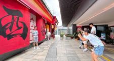 西安旅行交友好去处：古城墙公园与大雁塔广场的独特魅力