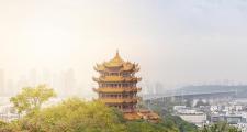 武汉私人伴游推荐：历史文化向导带你深度体验黄鹤楼与辛亥革命