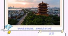 武汉之行印象深：邂逅旅伴，分享旅行趣事与深厚友谊