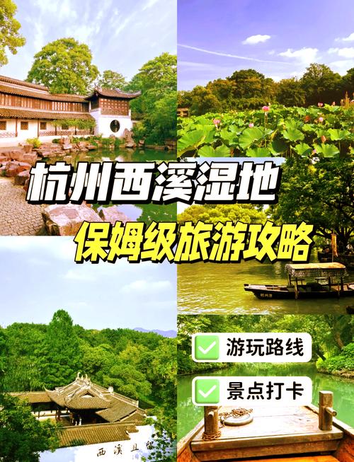 杭州旅游交友指南：西湖美景与西溪湿地如何助你结识新朋友