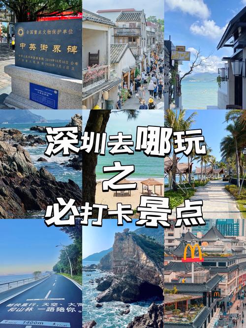 深圳旅行交友好去处，热门景点与特色活动不容错过