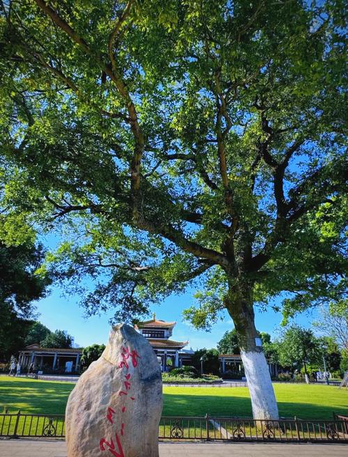 长沙交友线下活动项目_长沙人用的交友软件_长沙哪里有好的旅行交友