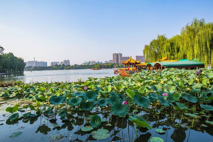 交友济南旅行好有钱吗_济南哪里有好的旅行交友_济南交友哪个比较好